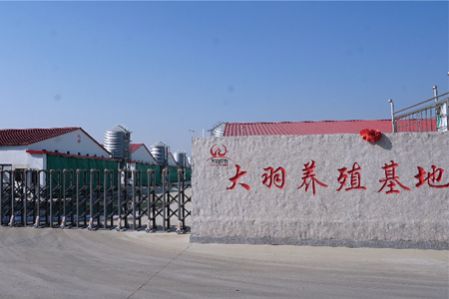 90,000㎡ Heating for animal husbandry and breeding