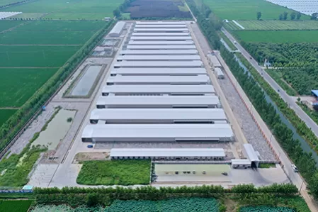 26,000㎡ Heating for animal husbandry and breeding