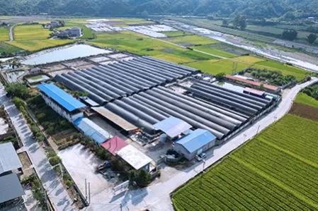 5000 tons of aquaculture hot water